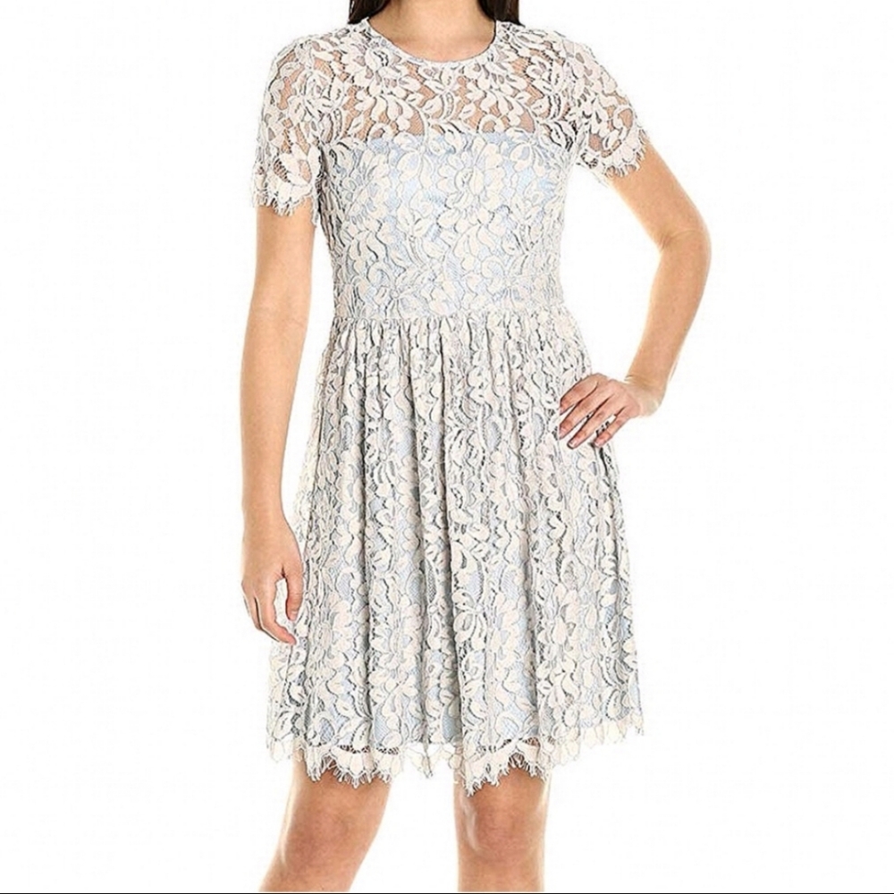 Eliza j gray lace overlay blue dress